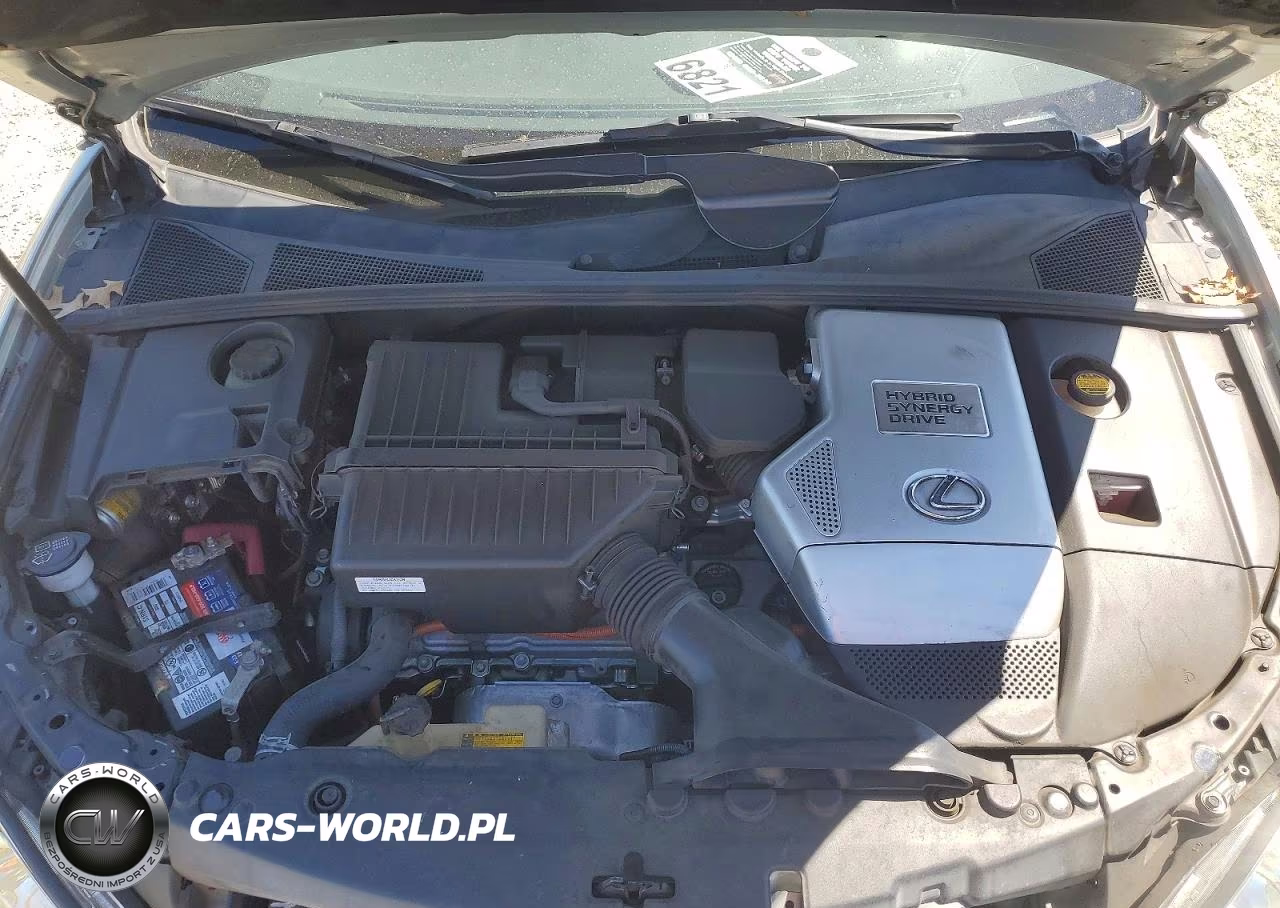 2006 Lexus Rx 400 VIN:JTJGW31U462000609 - 12