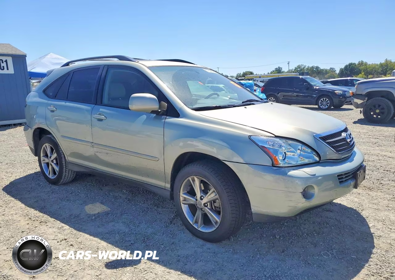2006 Lexus Rx 400 VIN:JTJGW31U462000609 - 4