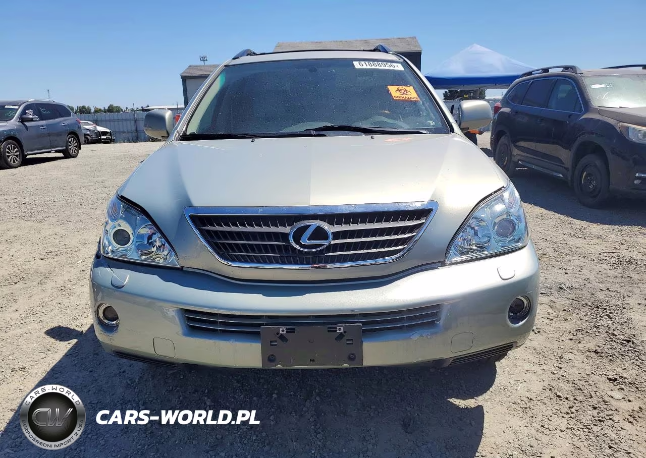 2006 Lexus Rx 400 VIN:JTJGW31U462000609 - 5
