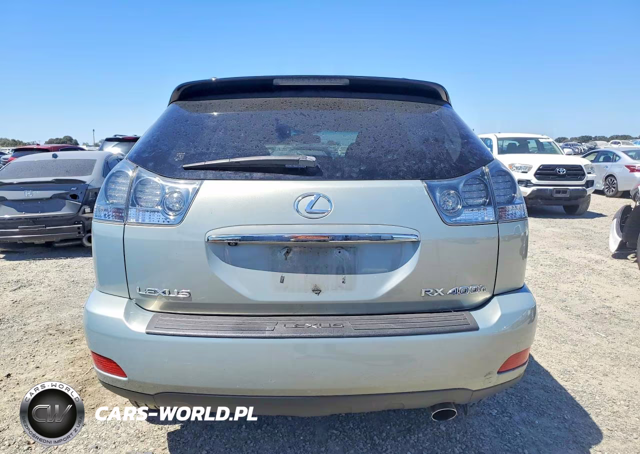 2006 Lexus Rx 400 VIN:JTJGW31U462000609 - 6