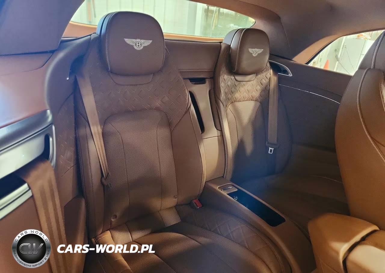 2020 Bentley Continental Gt VIN:SCBDG4ZG9LC076391 - 10