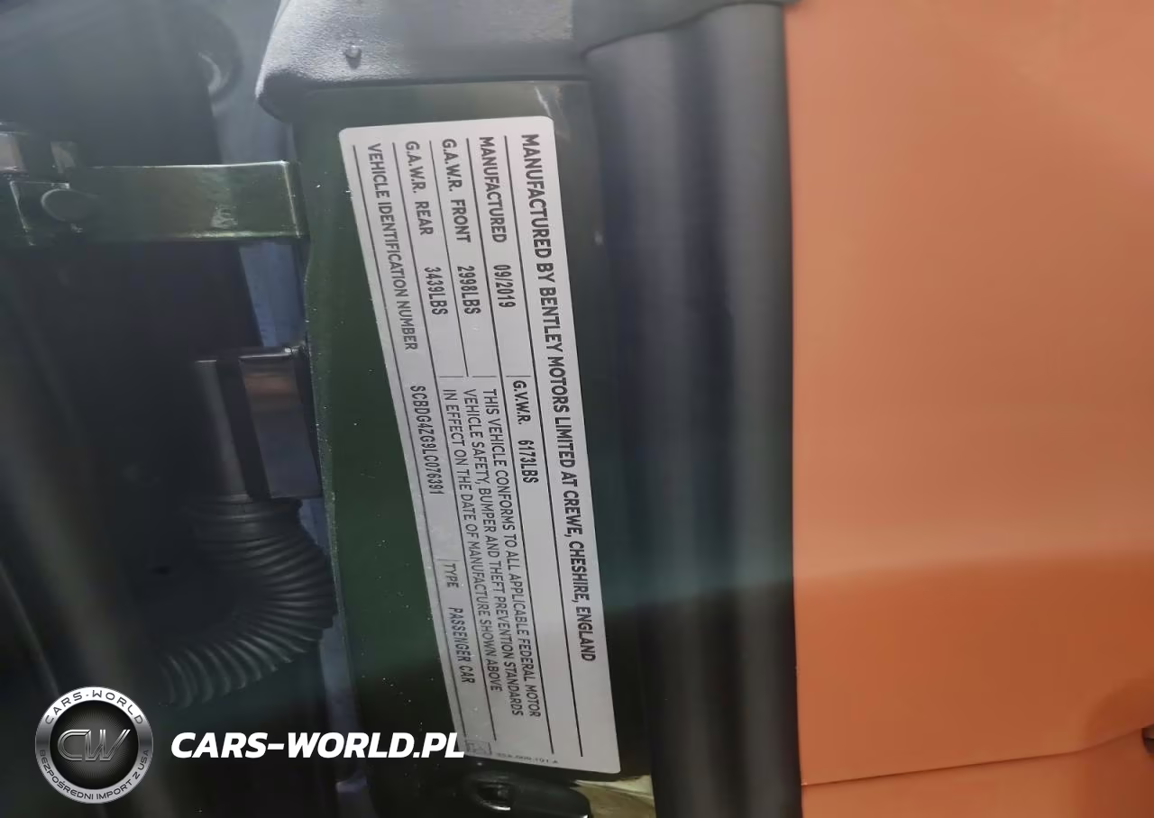 2020 Bentley Continental Gt VIN:SCBDG4ZG9LC076391 - 12
