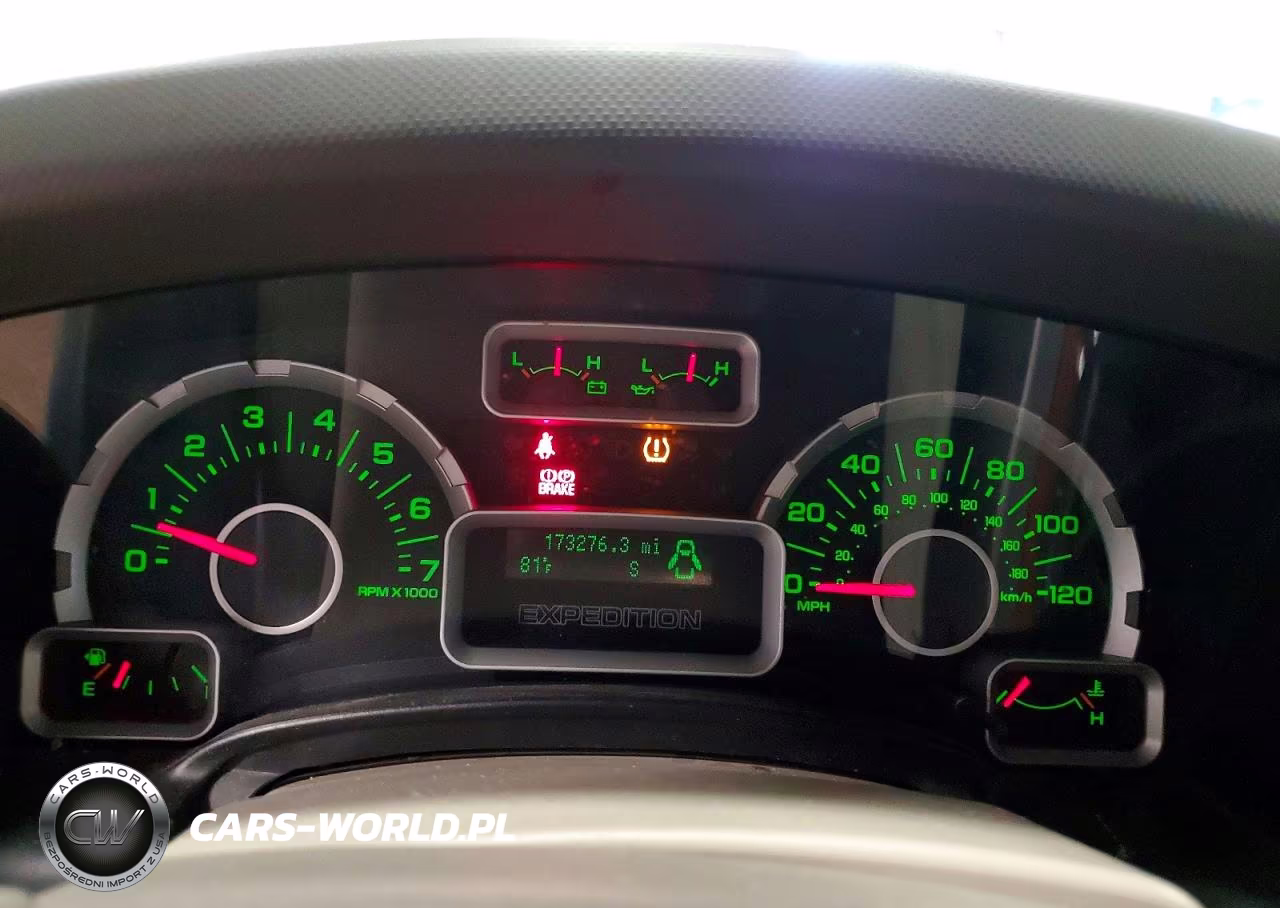 2010 Ford Expedition Xlt VIN:1FMJU1G56AEB66412 - 9