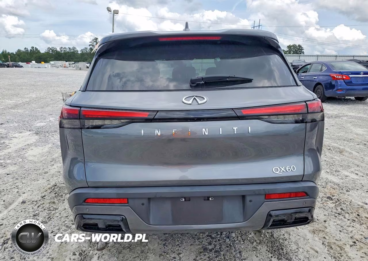 2024 Infiniti Qx60 Luxe VIN:5N1DL1FR8RC339200 - 6