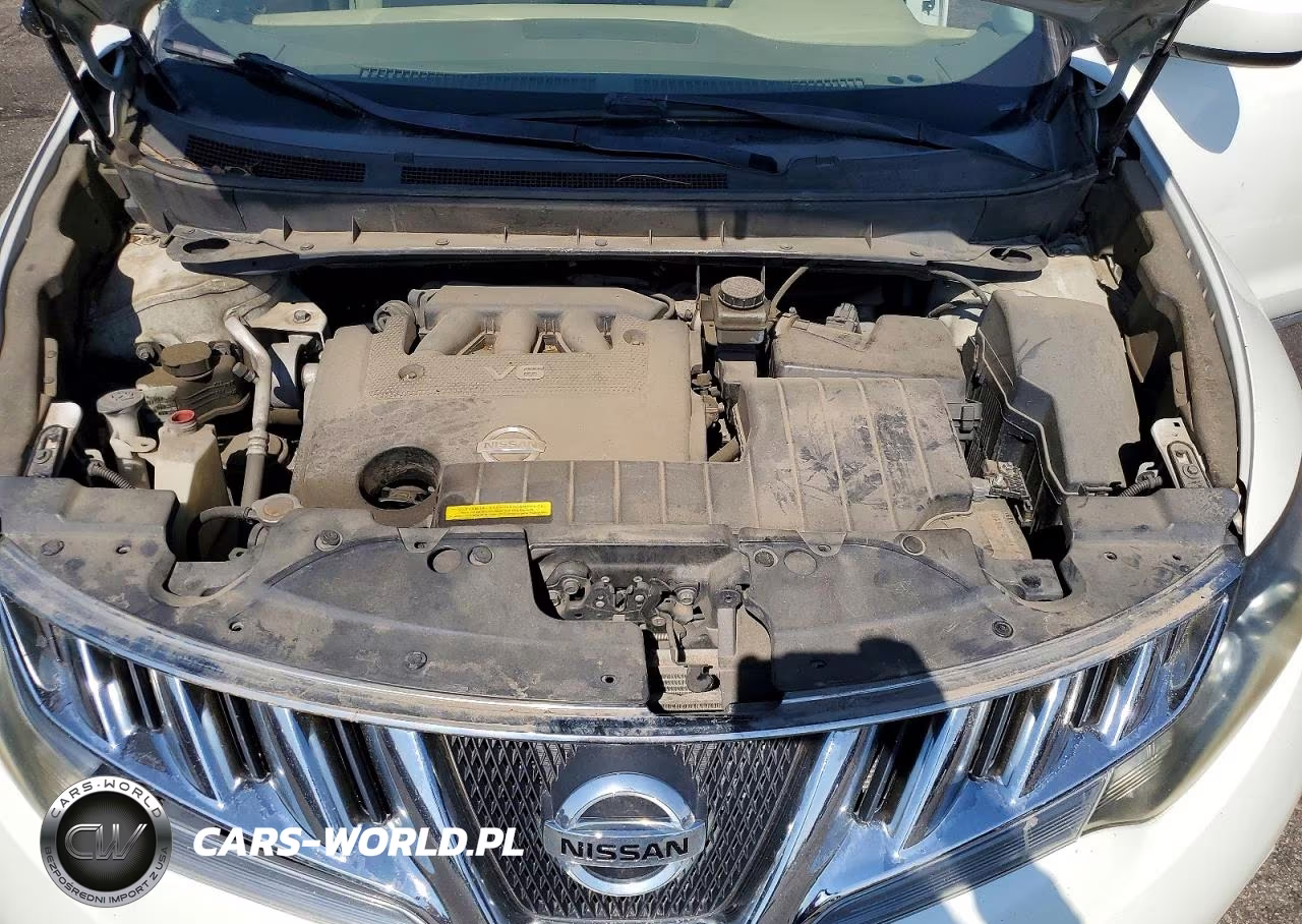 2010 Nissan Murano S VIN:JN8AZ1MWXAW126853 - 11