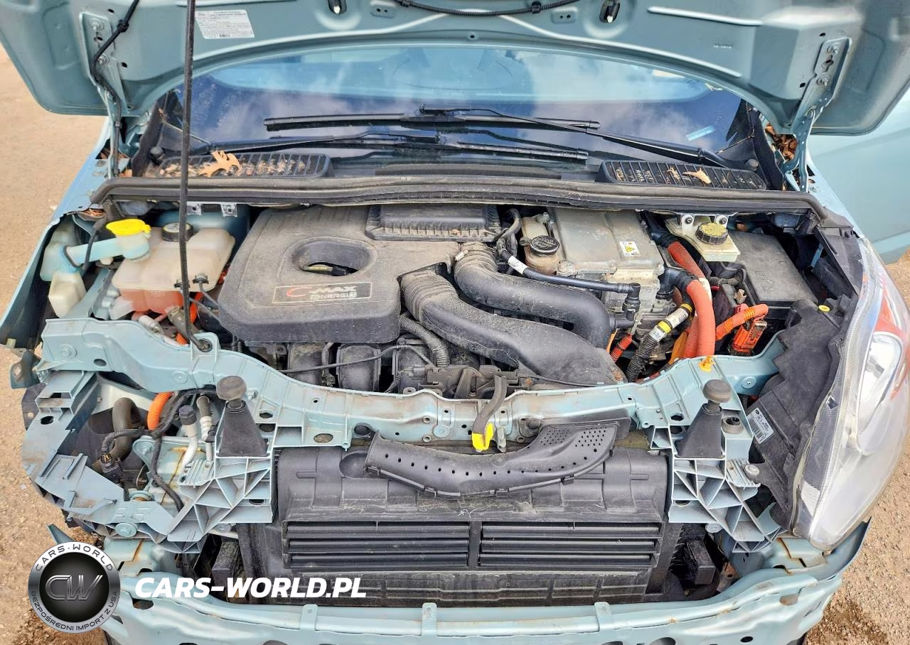 2013 Ford C-Max Premium VIN:1FADP5CU8DL519560 - 11