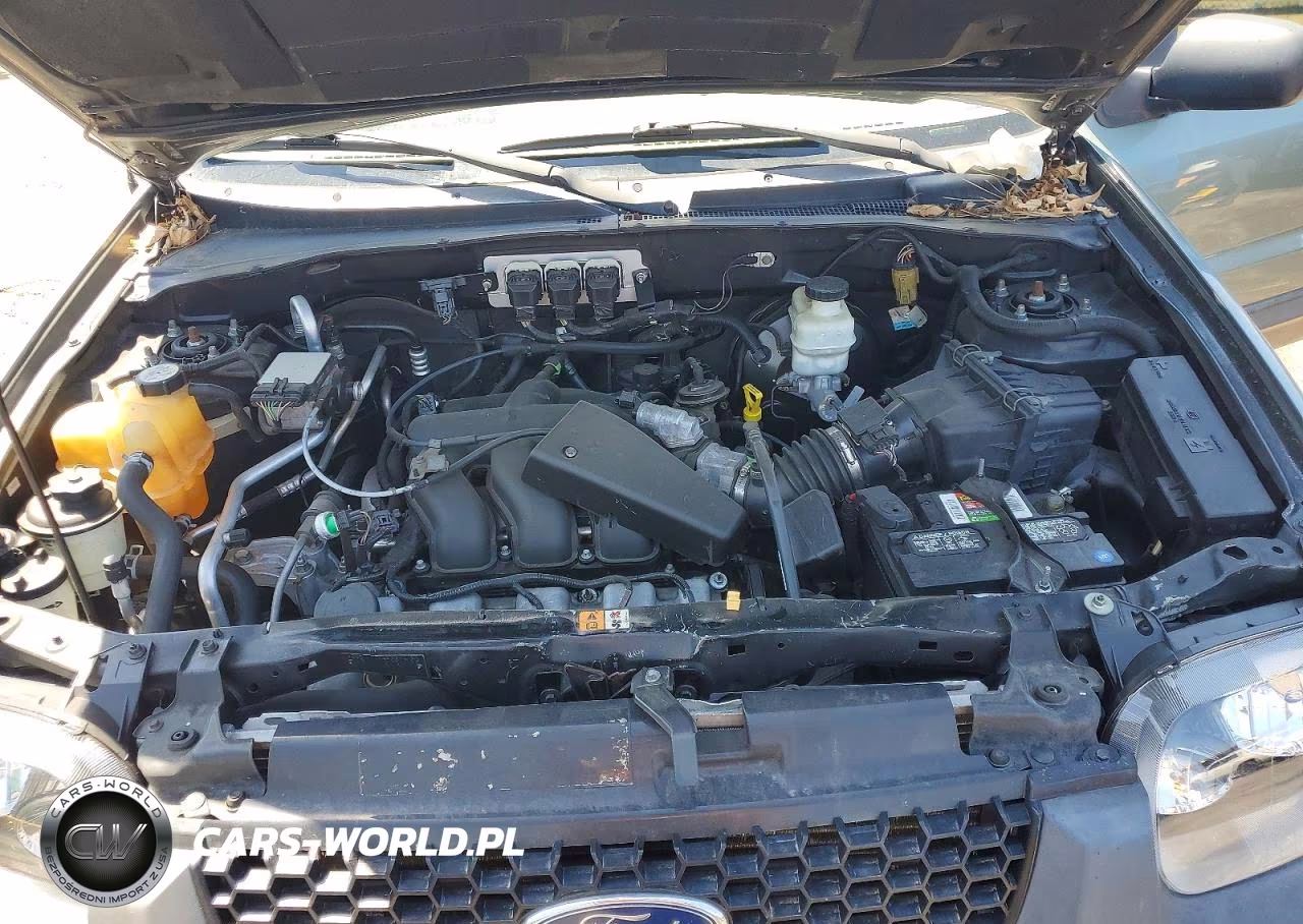 2005 Ford Escape Xlt VIN:1FMYU93185KD53738 - 12