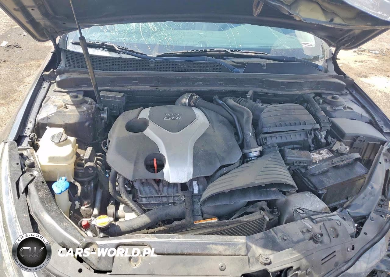 2011 Kia Optima Ex Turbo VIN:KNAGN4A60B5183655 - 11