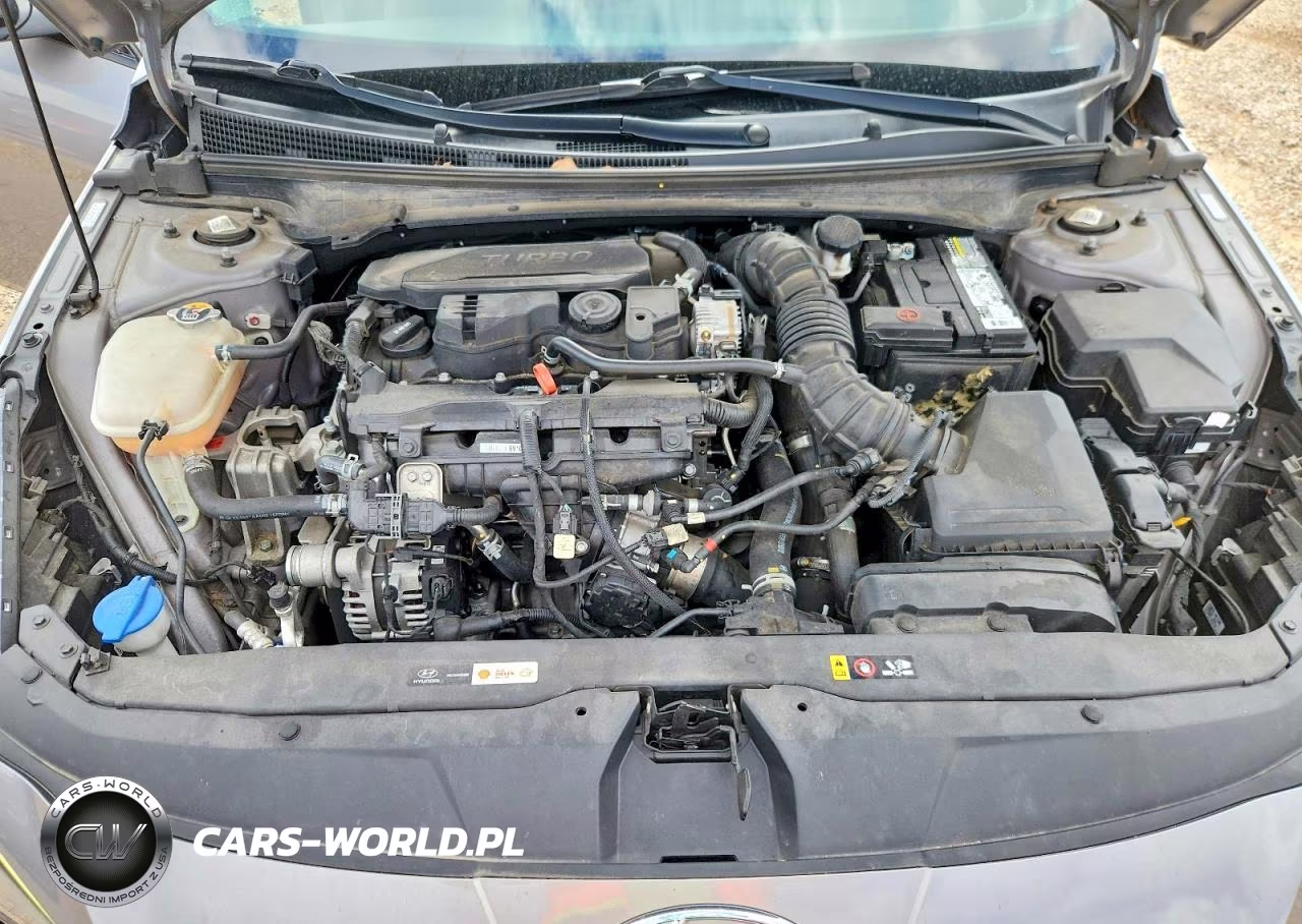 2022 Hyundai Elantra N Line VIN:KMHLR4AF7NU234550 - 11