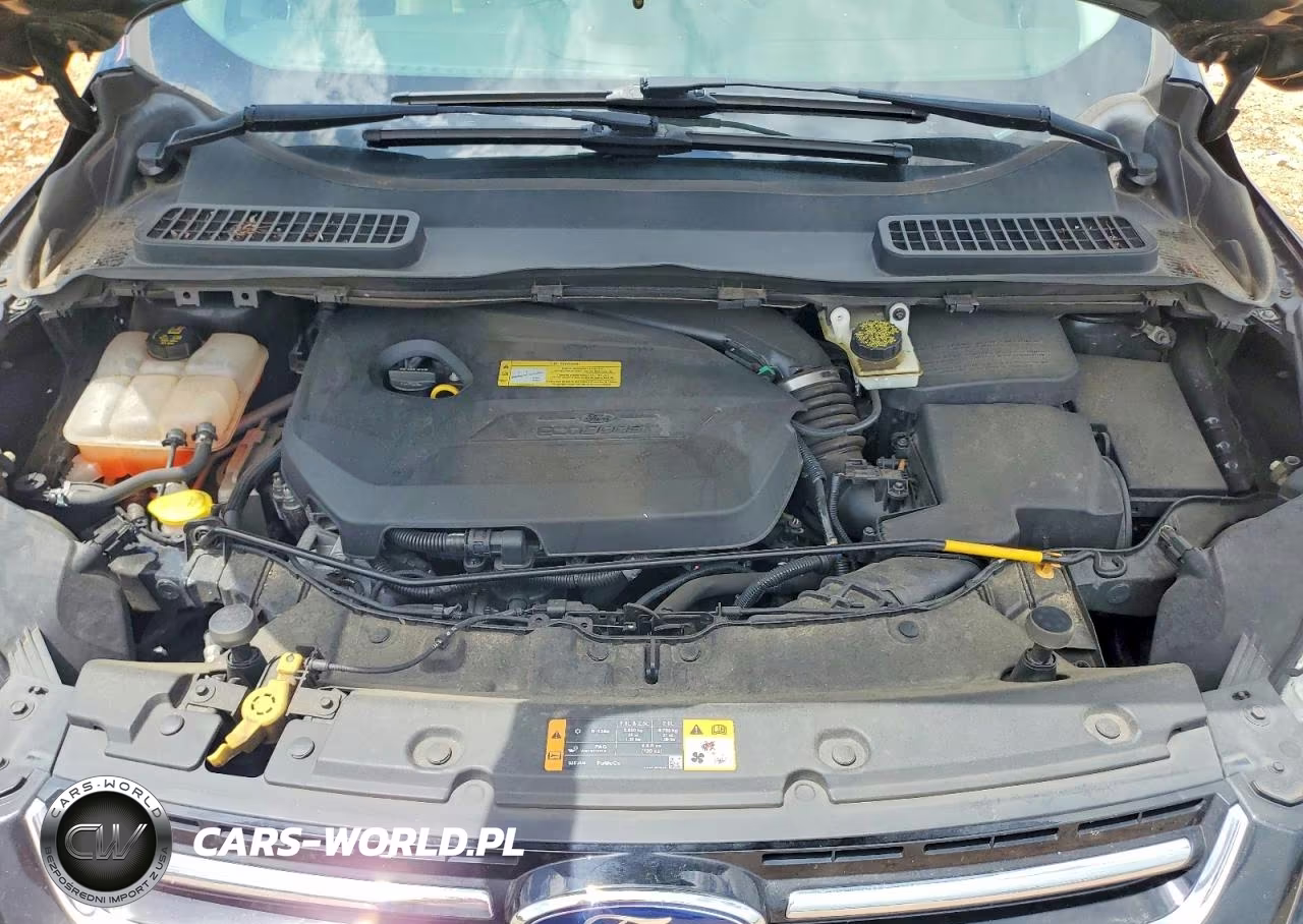 2013 Ford Escape Sel VIN:1FMCU0HX4DUD64810 - 12