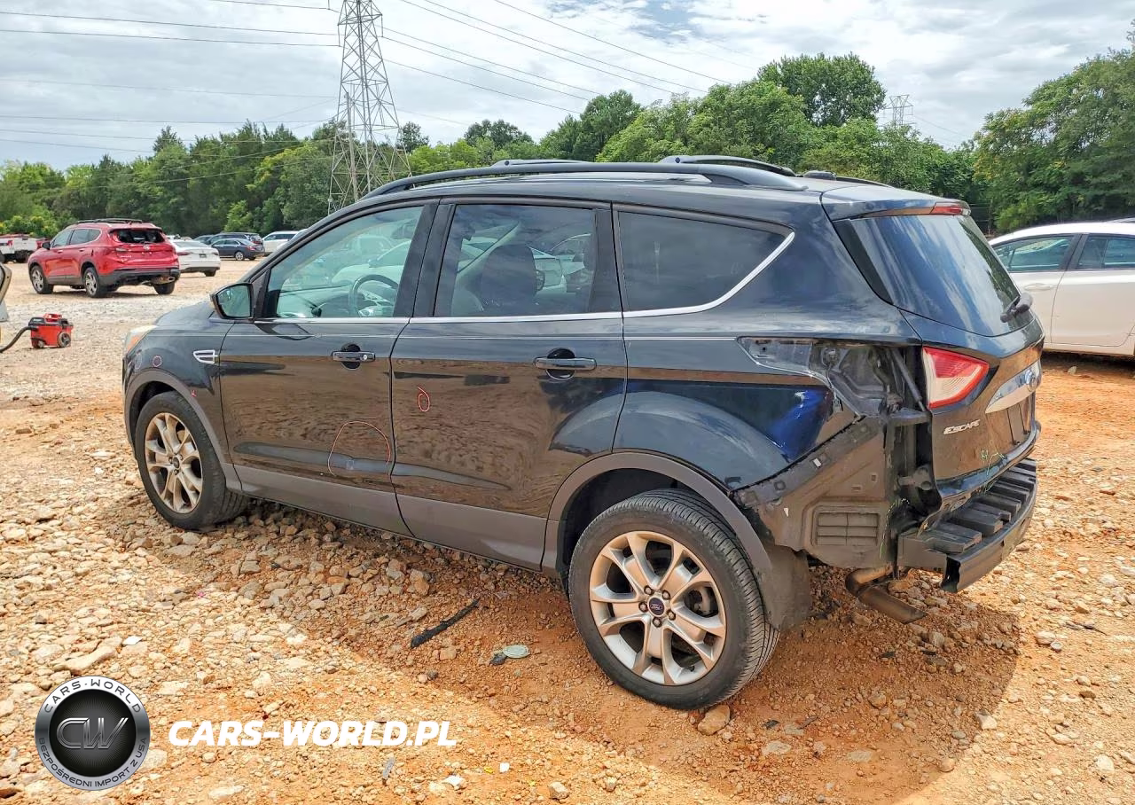 2013 Ford Escape Sel VIN:1FMCU0HX4DUD64810 - 2