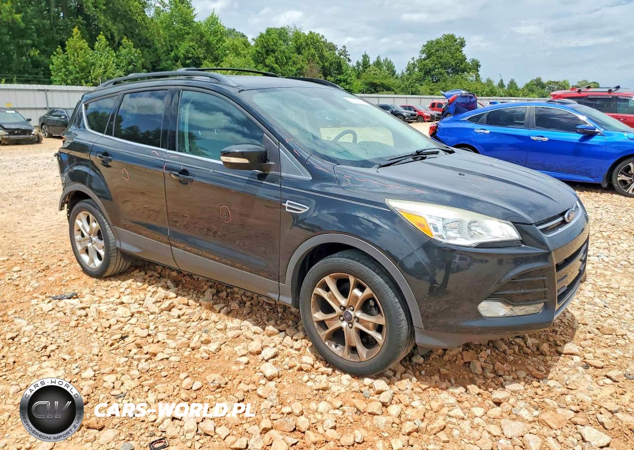 2013 Ford Escape Sel VIN:1FMCU0HX4DUD64810 - 4