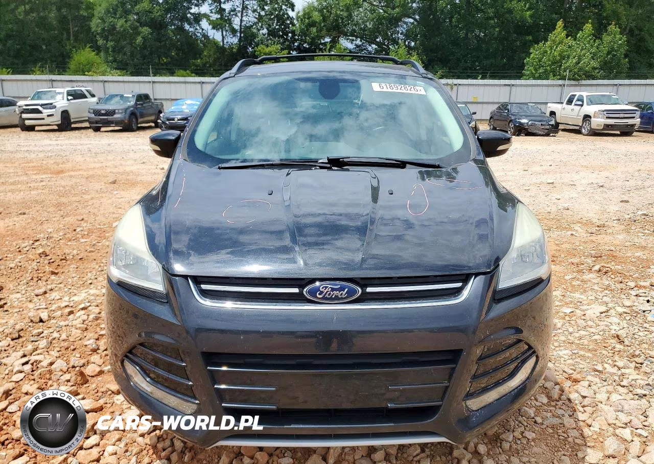 2013 Ford Escape Sel VIN:1FMCU0HX4DUD64810 - 5