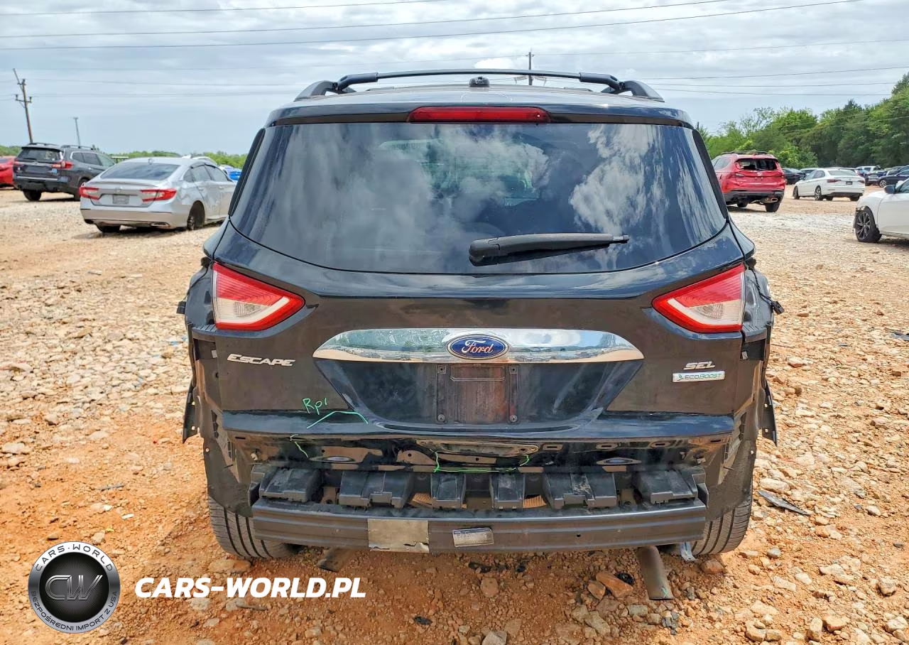 2013 Ford Escape Sel VIN:1FMCU0HX4DUD64810 - 6