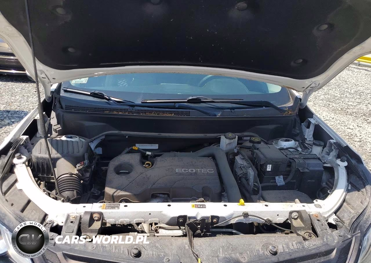 2019 Chevrolet Equinox Lt VIN:2GNAXUEV5K6104433 - 12