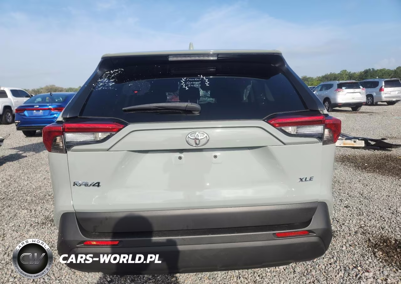 2019 Toyota Rav4 Xle Premium VIN:2T3C1RFV3KC010877 - 6