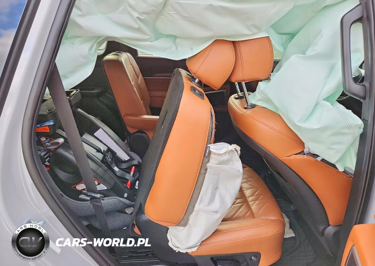 2023 Kia Telluride Sx-Prestige X-Pro VIN:5XYP5DGC2PG371401 - 11