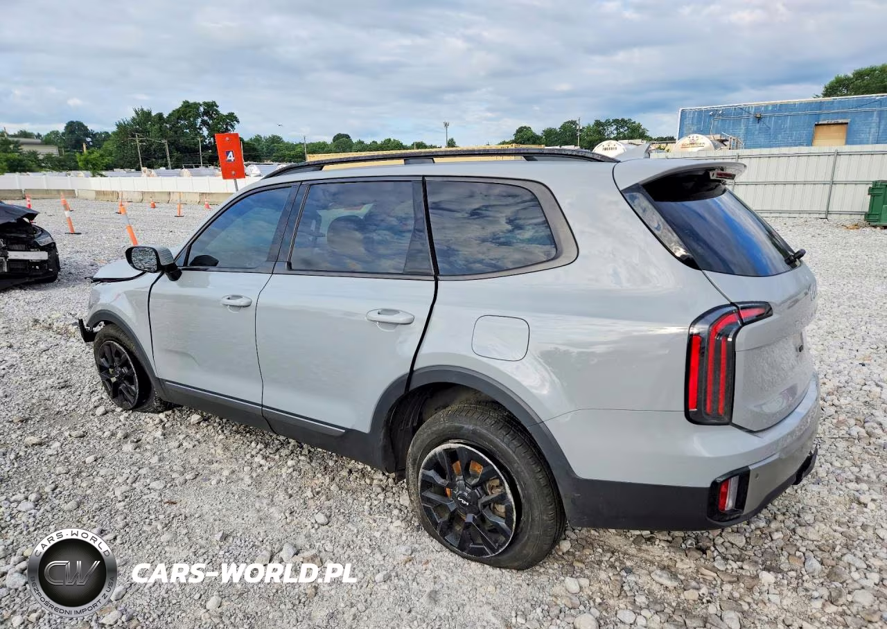 2023 Kia Telluride Sx-Prestige X-Pro VIN:5XYP5DGC2PG371401 - 2