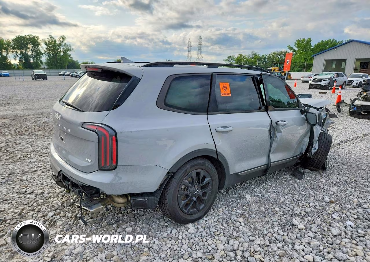 2023 Kia Telluride Sx-Prestige X-Pro VIN:5XYP5DGC2PG371401 - 3