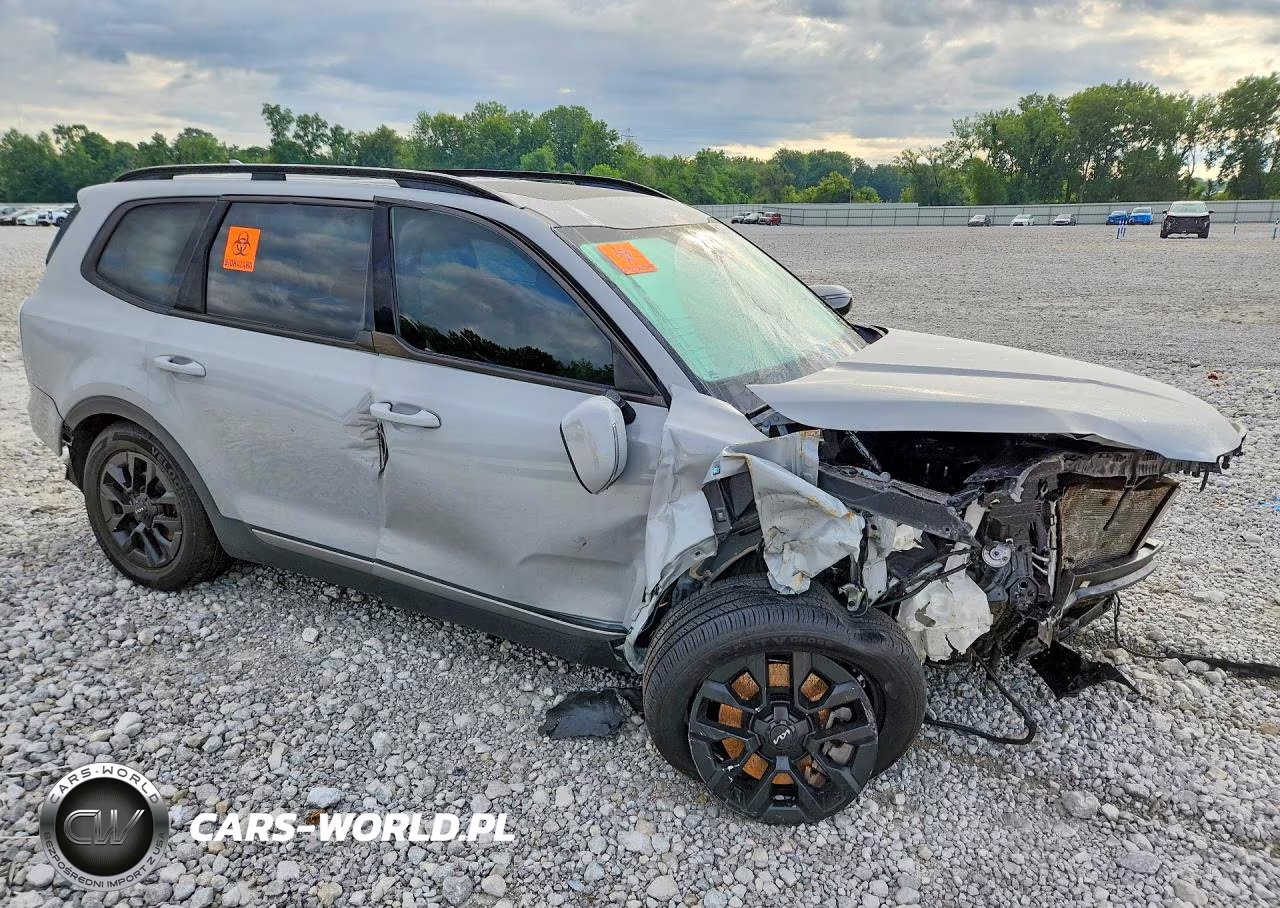 2023 Kia Telluride Sx-Prestige X-Pro VIN:5XYP5DGC2PG371401 - 4