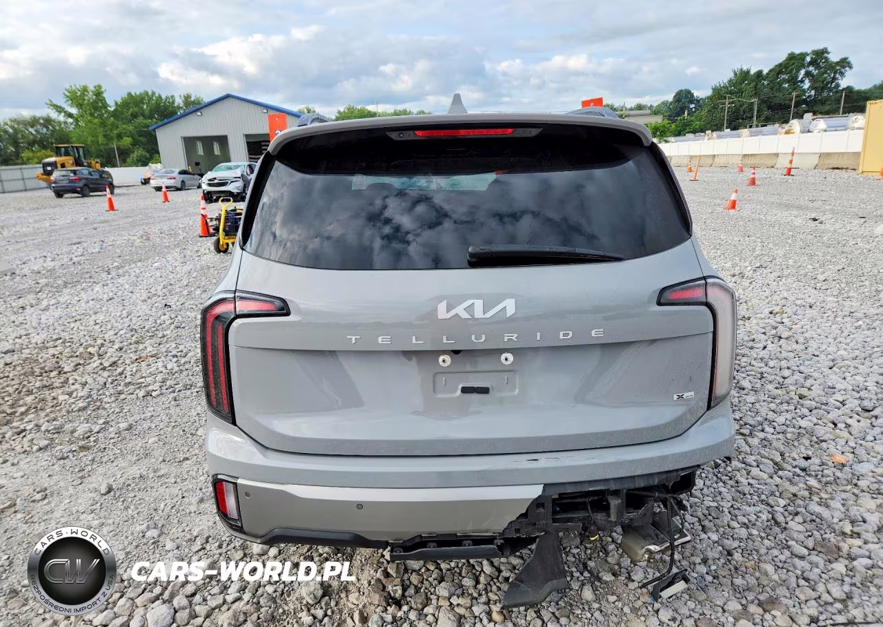 2023 Kia Telluride Sx-Prestige X-Pro VIN:5XYP5DGC2PG371401 - 6