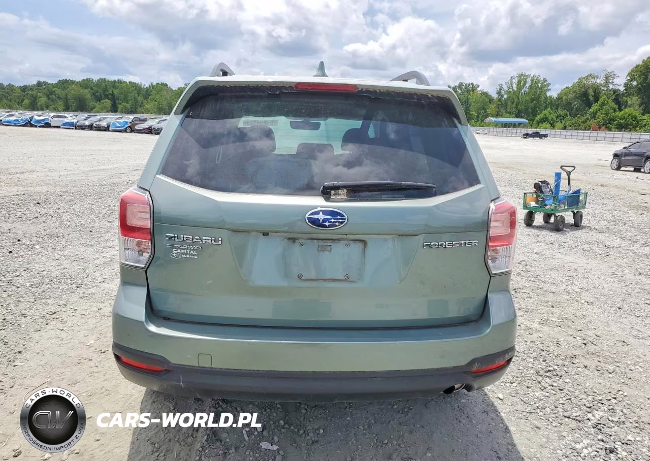2018 Subaru Forester 2.5I Premium VIN:JF2SJAEC6JH617356 - 6