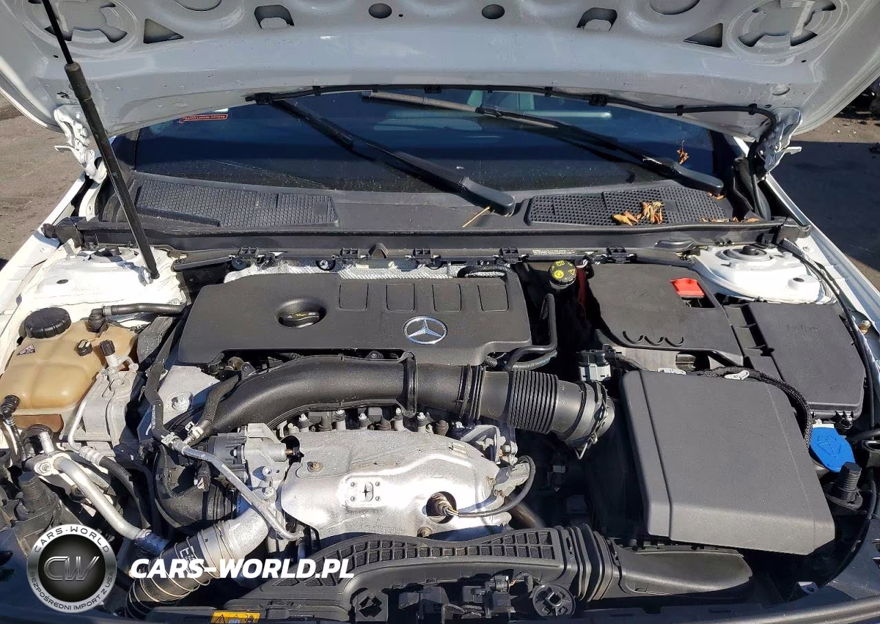 2019 Mercedes-Benz A 220 VIN:WDD3G4EB8KW027334 - 11