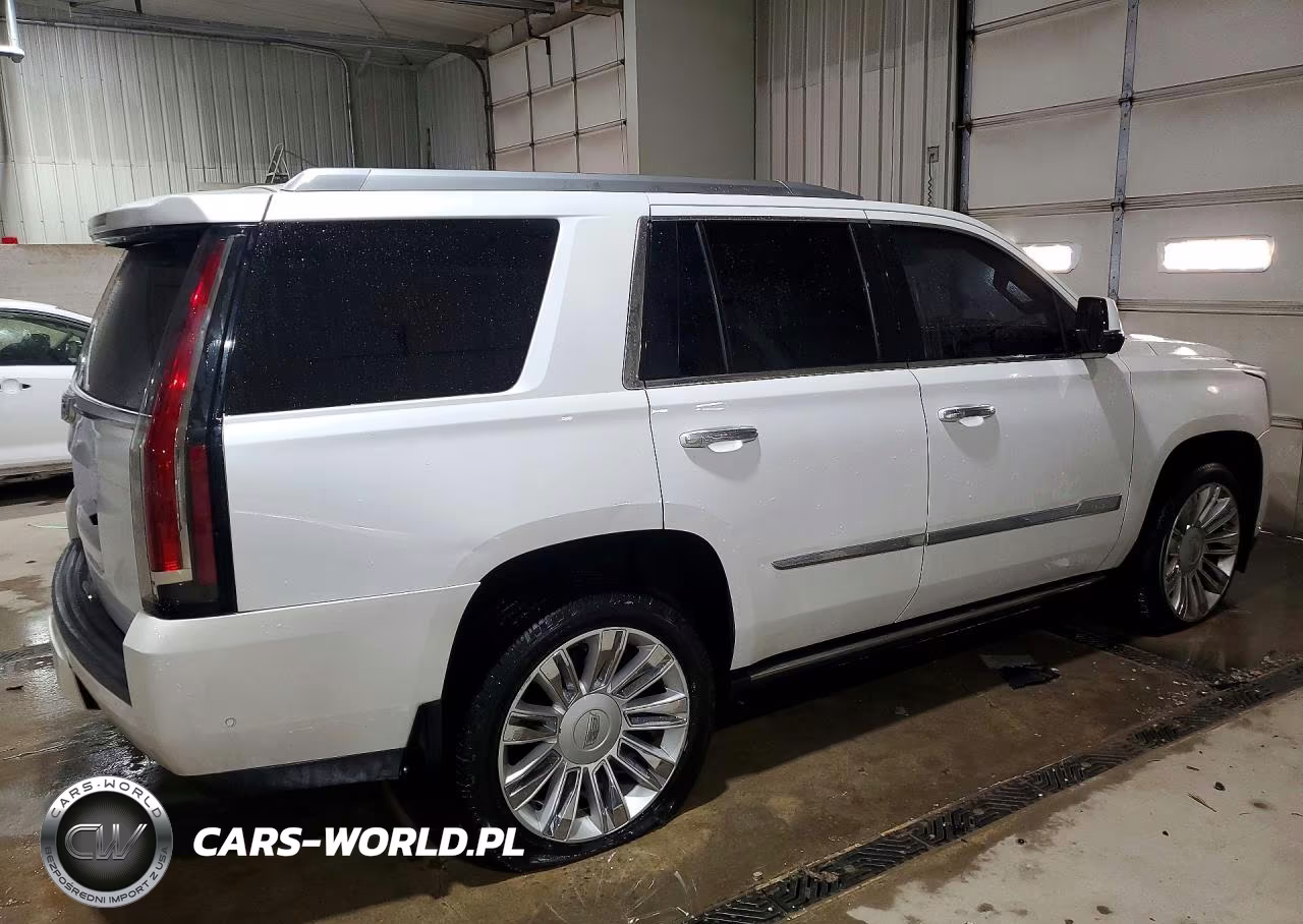 2017 Cadillac Escalade Platinum VIN:1GYS4DKJ3HR136781 - 3