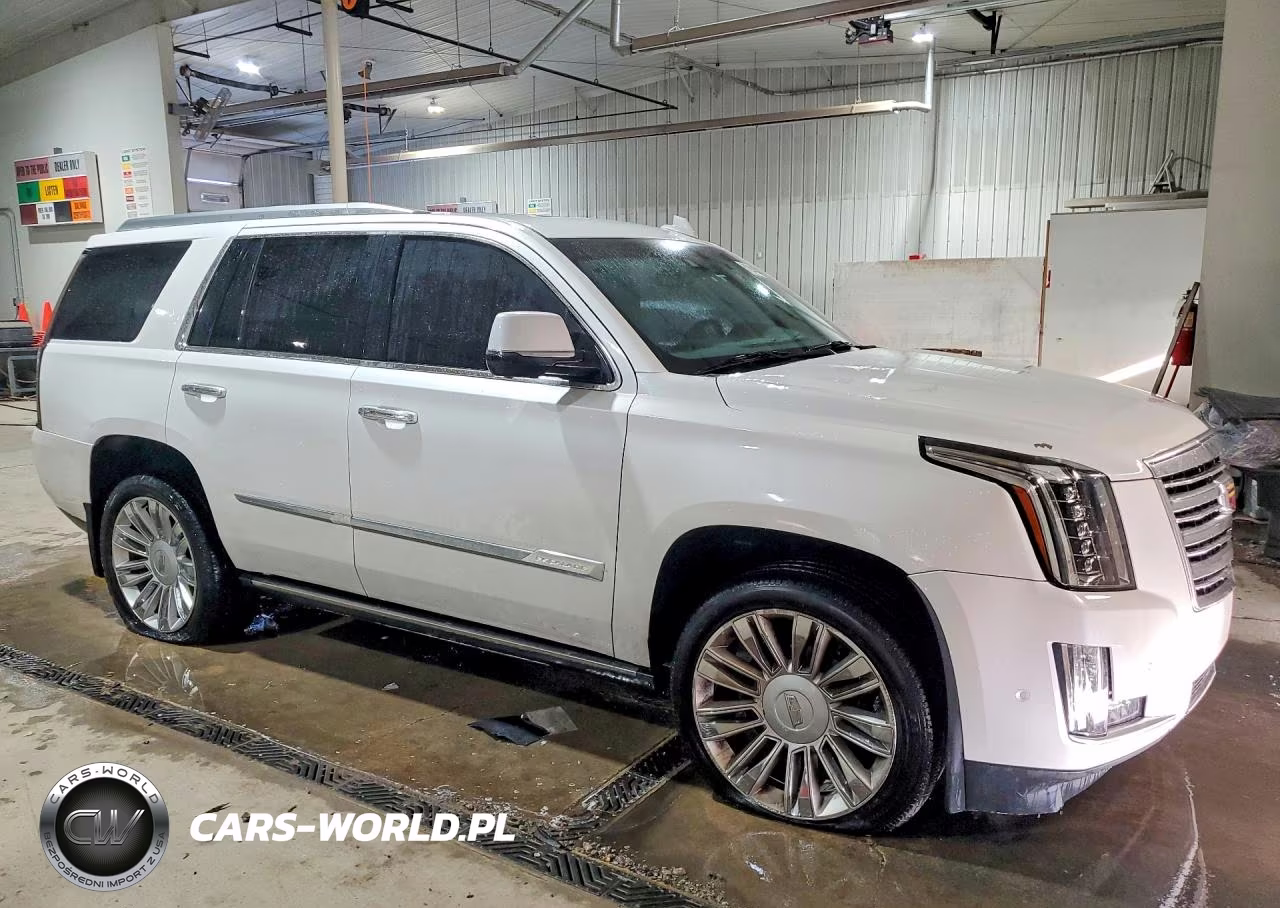 2017 Cadillac Escalade Platinum VIN:1GYS4DKJ3HR136781 - 4