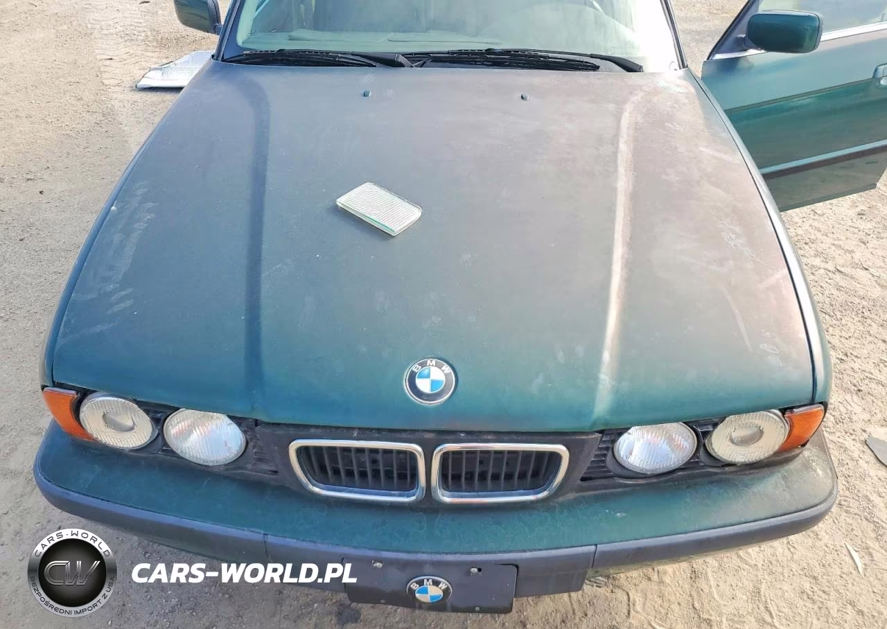 1995 BMW 530 I Automatic VIN:WBAHE2327SGE93490 - 11