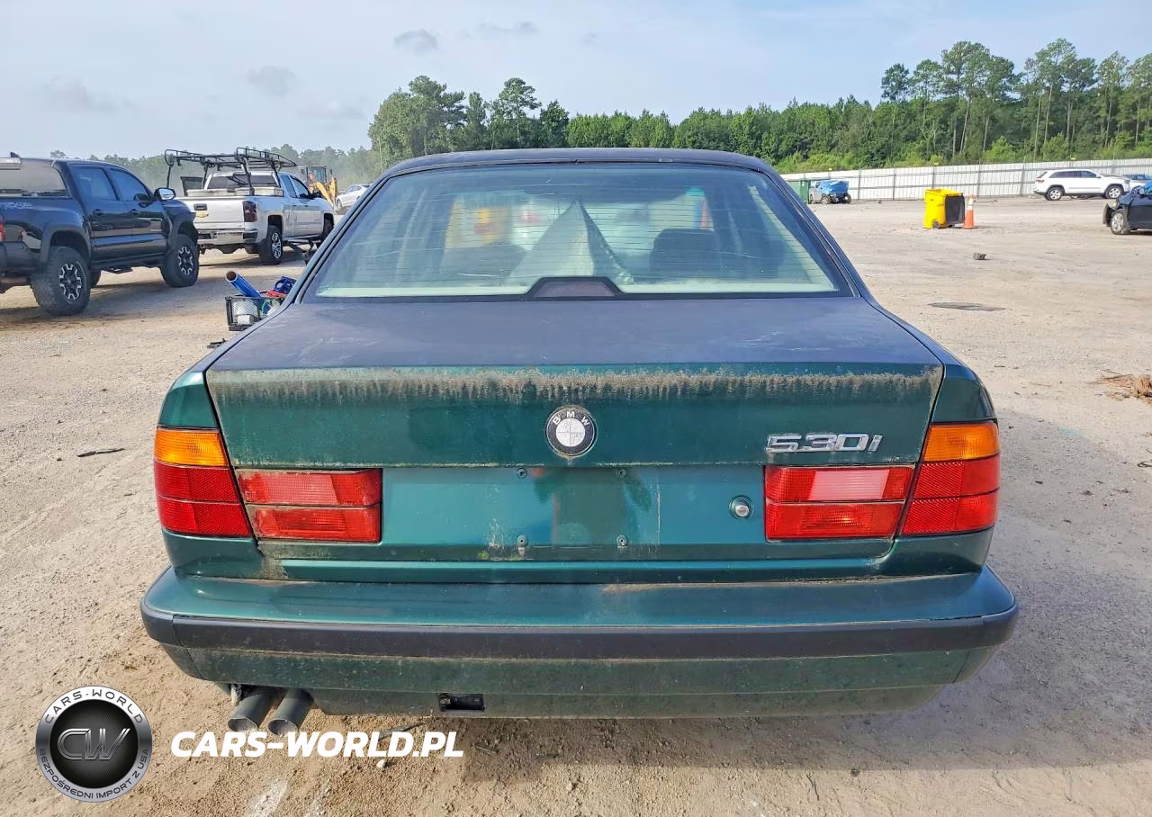 1995 BMW 530 I Automatic VIN:WBAHE2327SGE93490 - 6