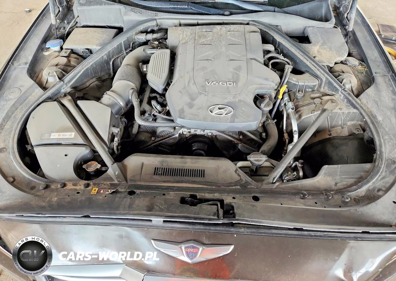 2015 Hyundai Genesis 3.8L VIN:KMHGN4JE3FU083583 - 11