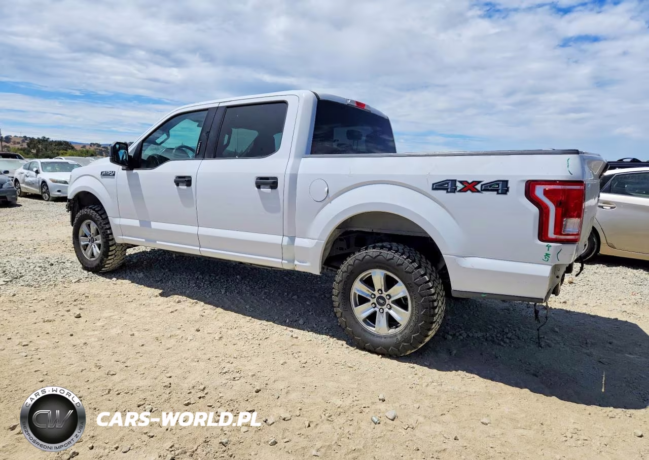 2015 Ford F150 Supercrew VIN:1FTEW1EFXFKD91372 - 2