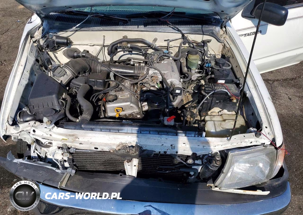 1998 Toyota Tacoma Base VIN:4TANL42N2WZ101828 - 11