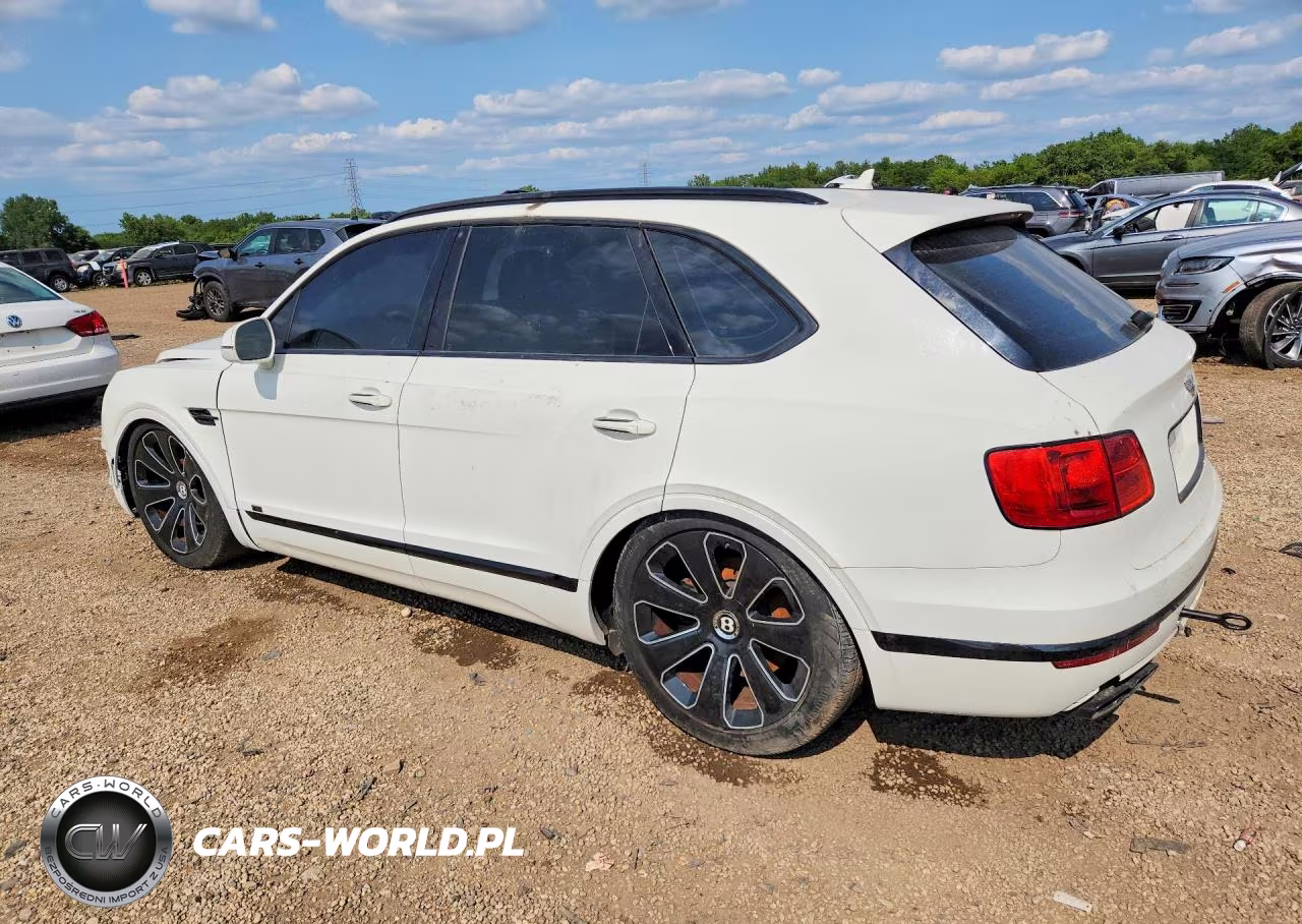 2020 Bentley Bentayga VIN:SJAAM2ZV9LC029665 - 2