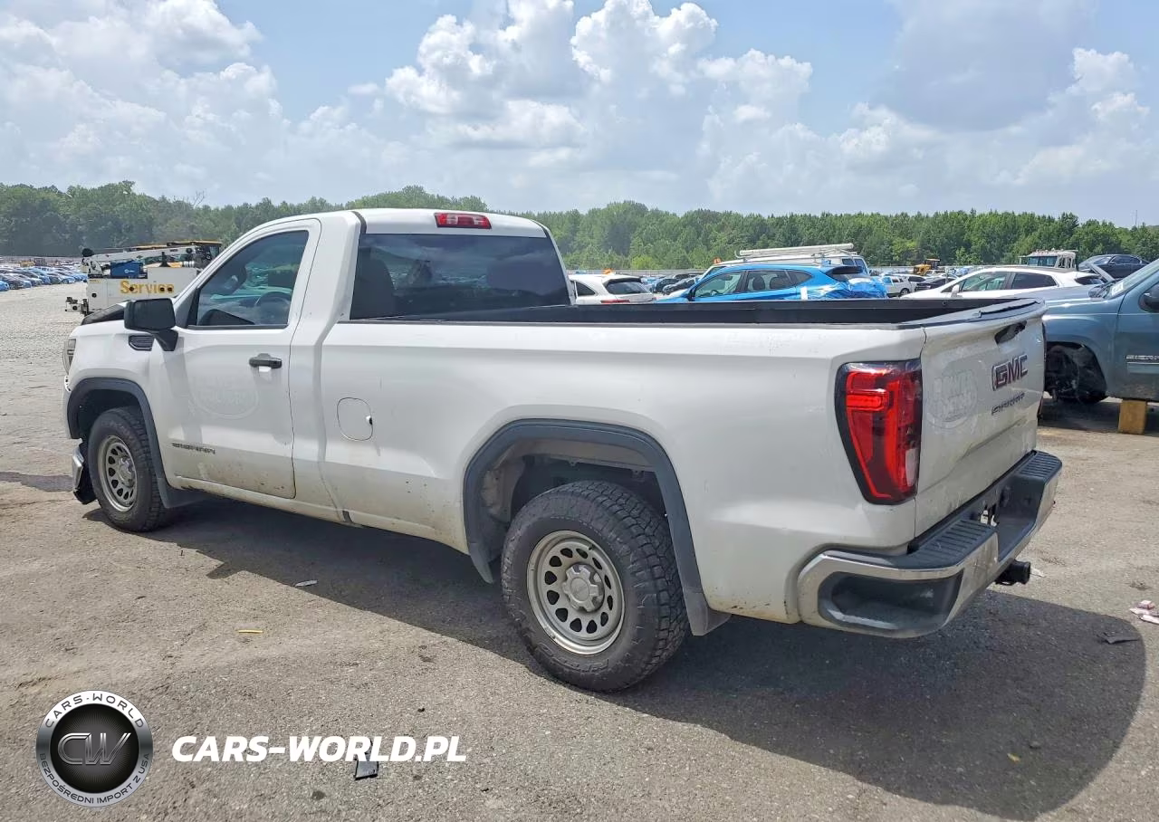 2020 GMC Sierra C1500 VIN:3GTN8AEH5LG309787 - 2