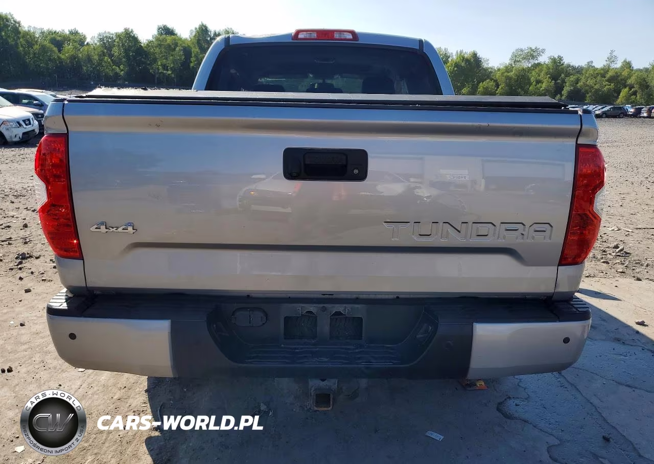 2015 Toyota Tundra Platinum VIN:5TFAY5F12FX436603 - 6