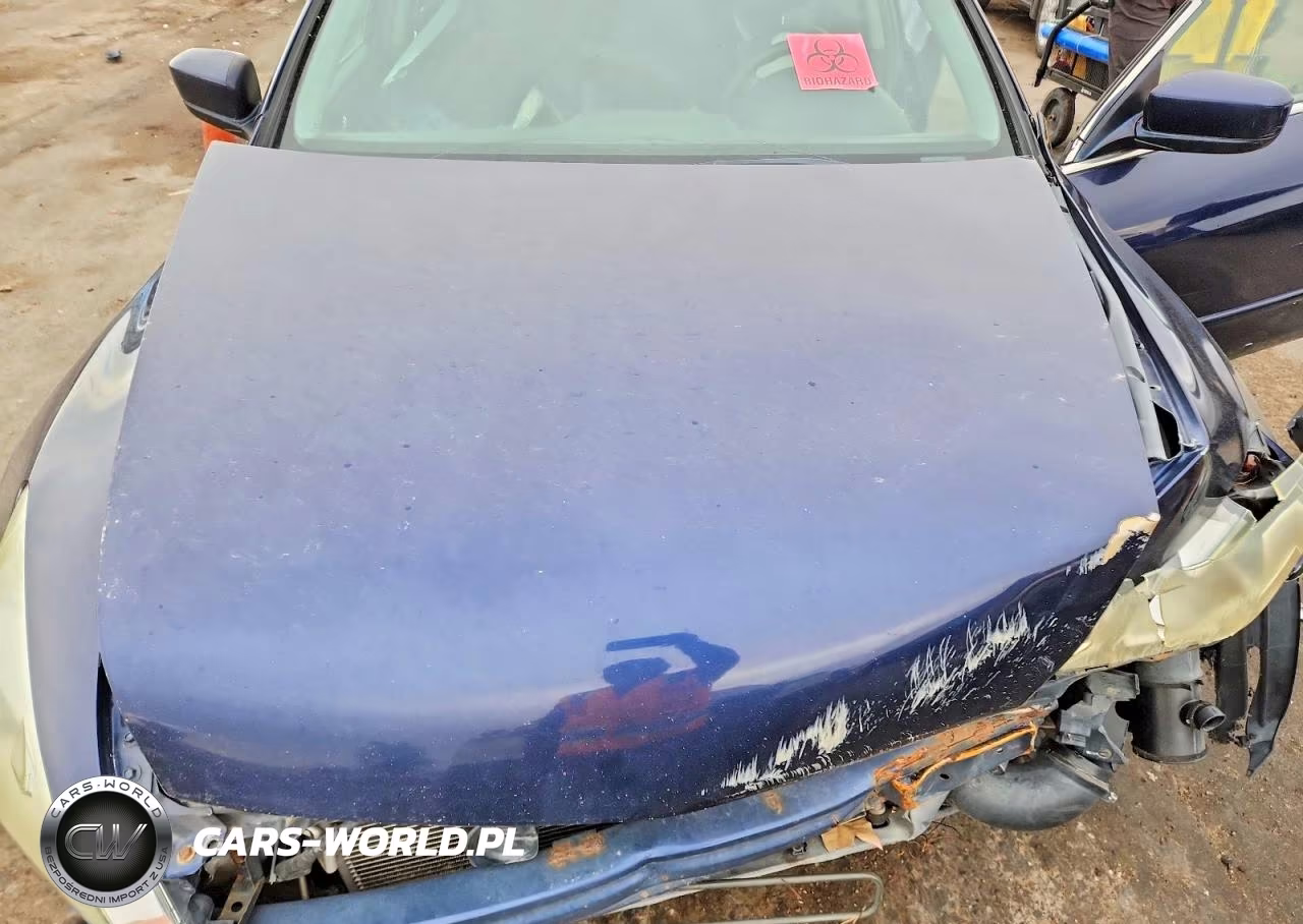 2007 Honda Accord Ex VIN:1HGCM665X7A063989 - 11