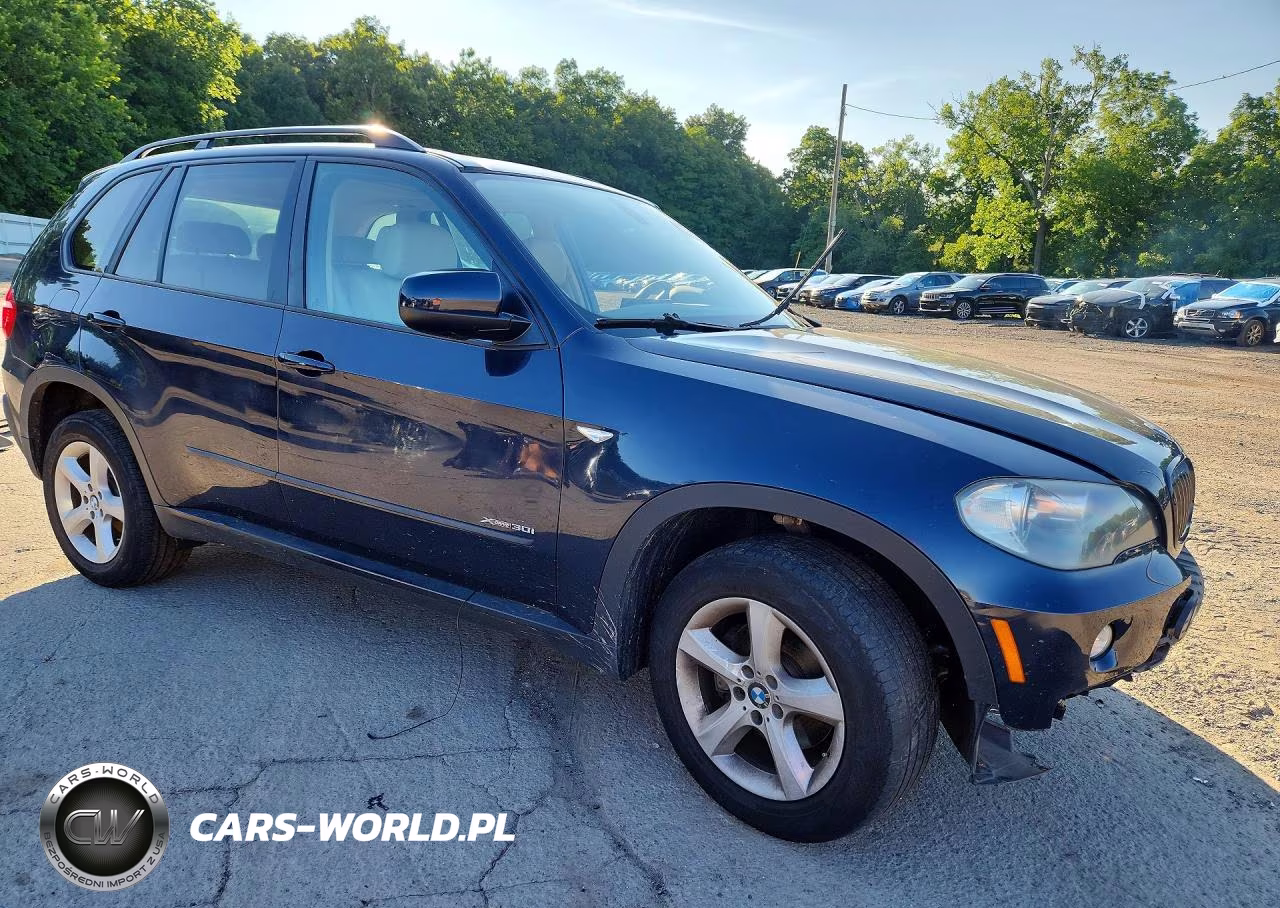 2010 BMW X5 xDrive30I VIN:5UXFE4C58AL382044 - 4