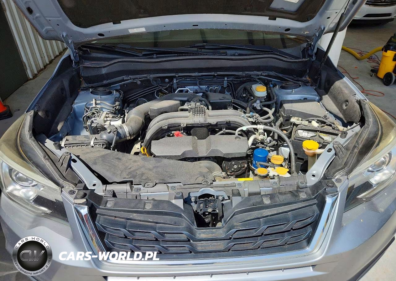2017 Subaru Forester 2.5I Limited VIN:JF2SJARC6HH591393 - 11