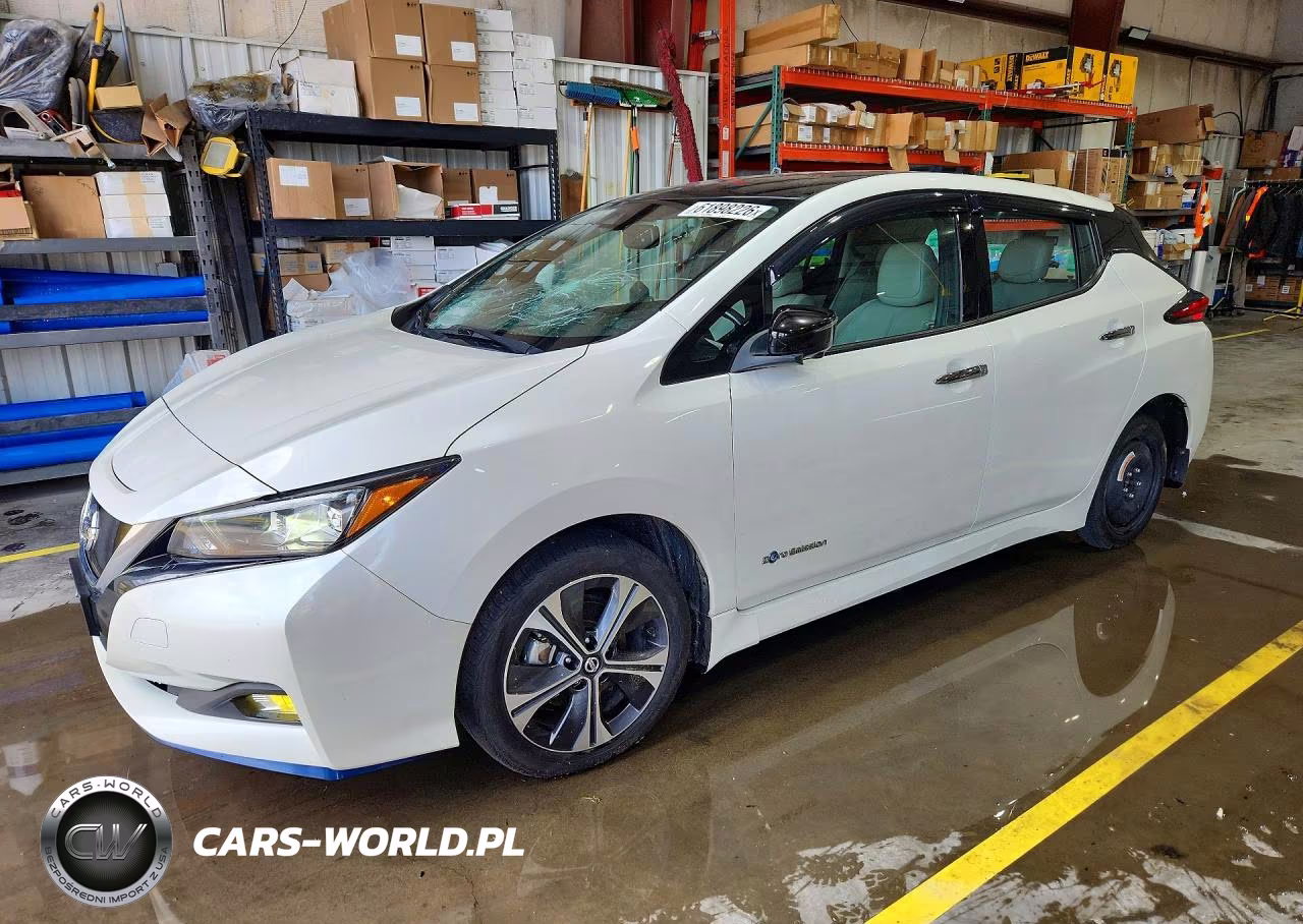 2019 Nissan Leaf Sl Plus