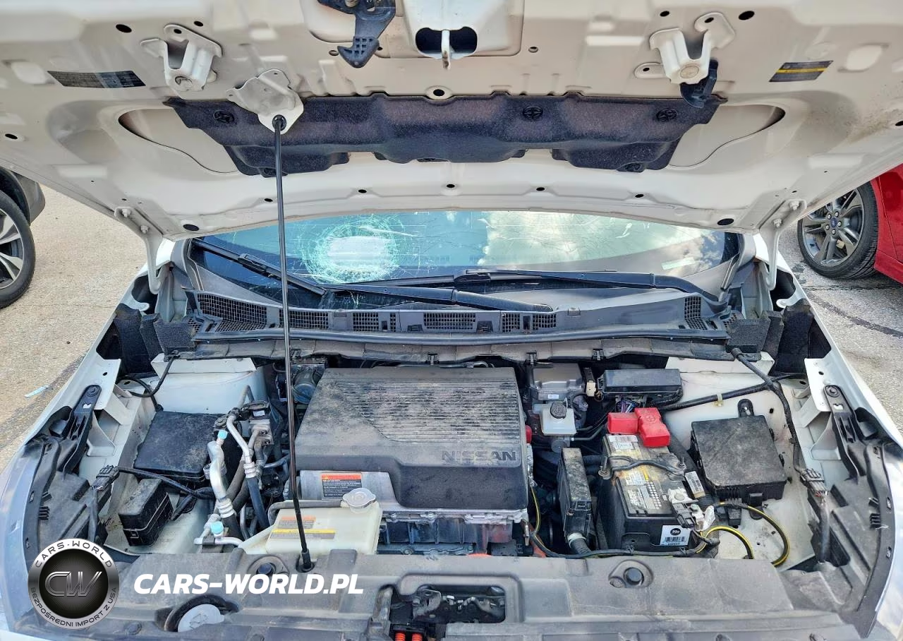 2019 Nissan Leaf Sl Plus VIN:1N4BZ1CP2KC316262 - 12