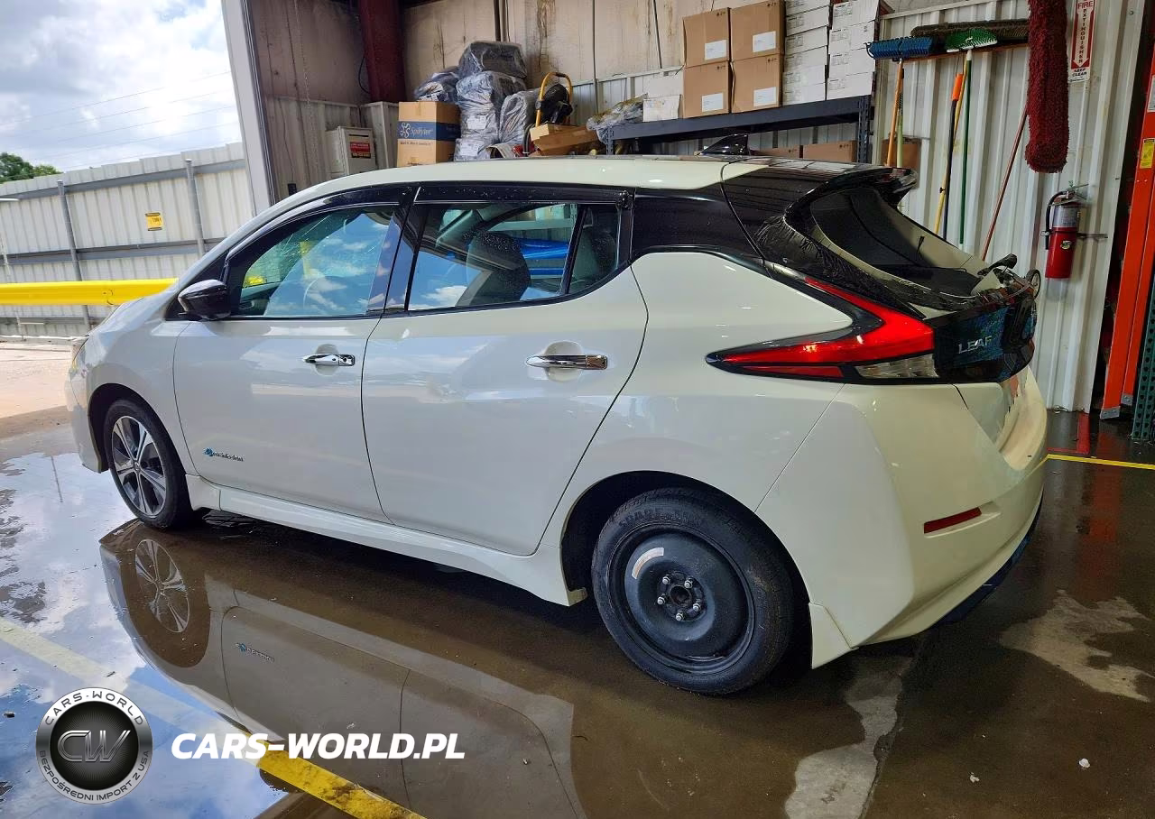 2019 Nissan Leaf Sl Plus VIN:1N4BZ1CP2KC316262 - 2