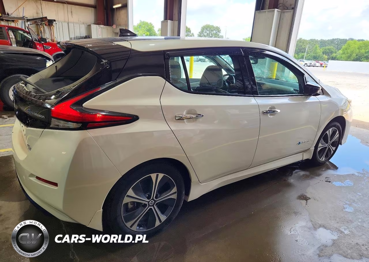 2019 Nissan Leaf Sl Plus VIN:1N4BZ1CP2KC316262 - 3