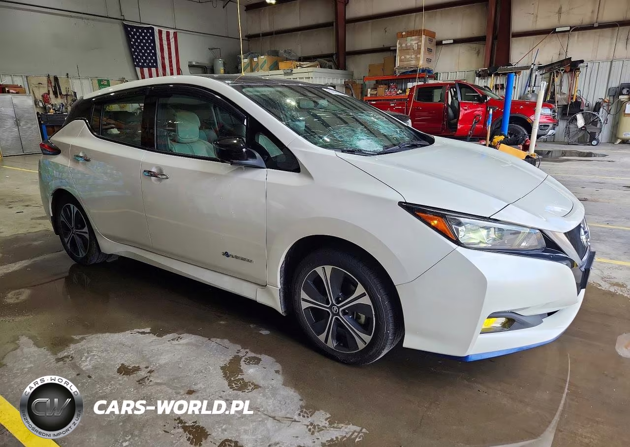 2019 Nissan Leaf Sl Plus VIN:1N4BZ1CP2KC316262 - 4