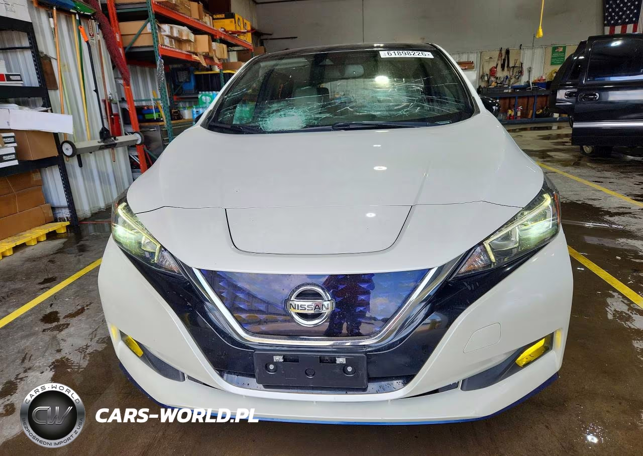 2019 Nissan Leaf Sl Plus VIN:1N4BZ1CP2KC316262 - 5
