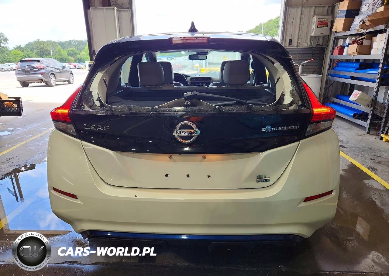 2019 Nissan Leaf Sl Plus VIN:1N4BZ1CP2KC316262 - 6