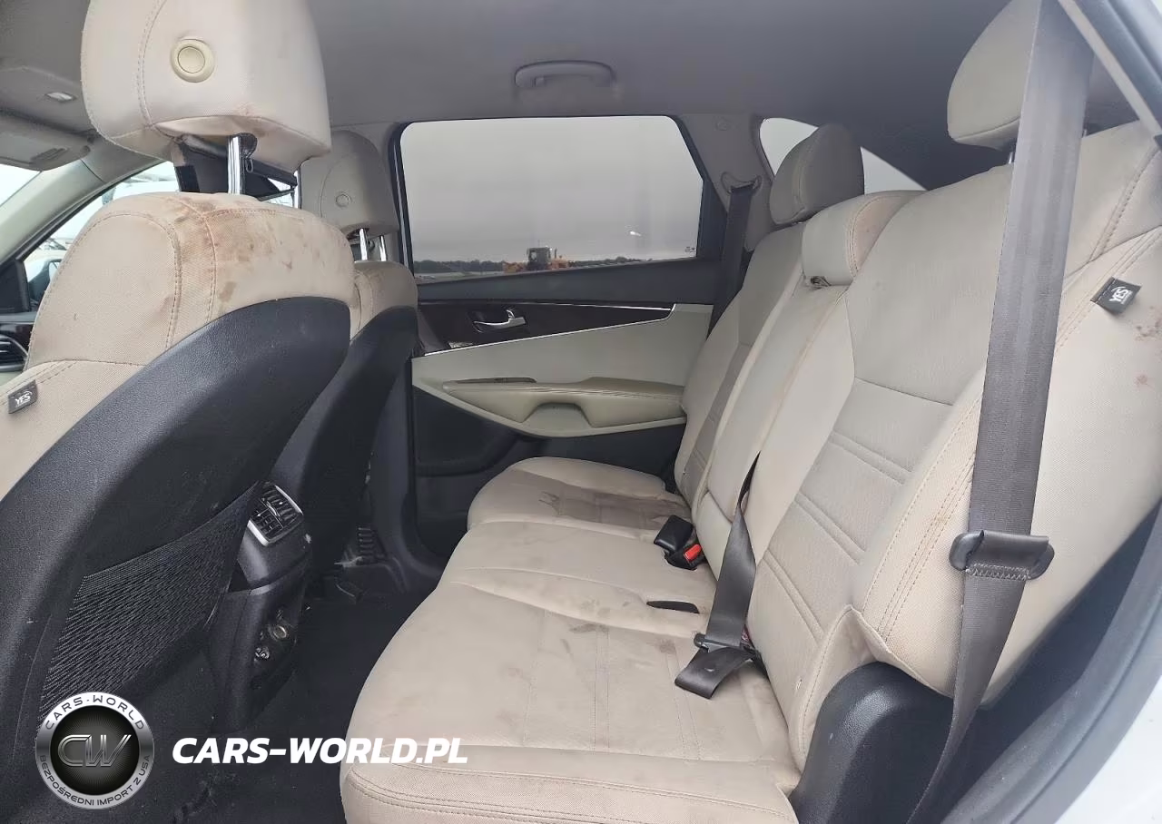2017 Kia Sorento Lx VIN:5XYPG4A39HG275091 - 10