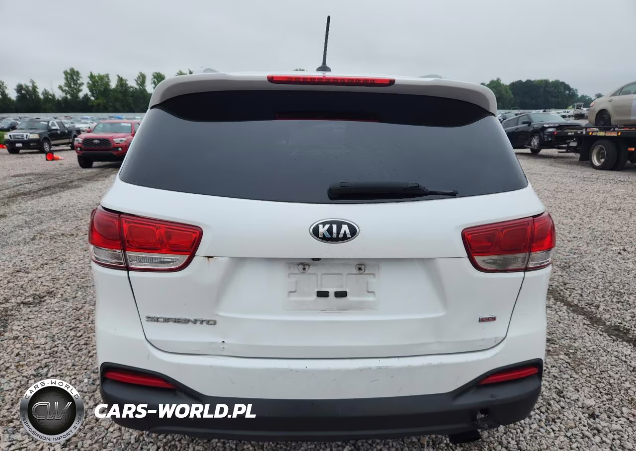 2017 Kia Sorento Lx VIN:5XYPG4A39HG275091 - 6