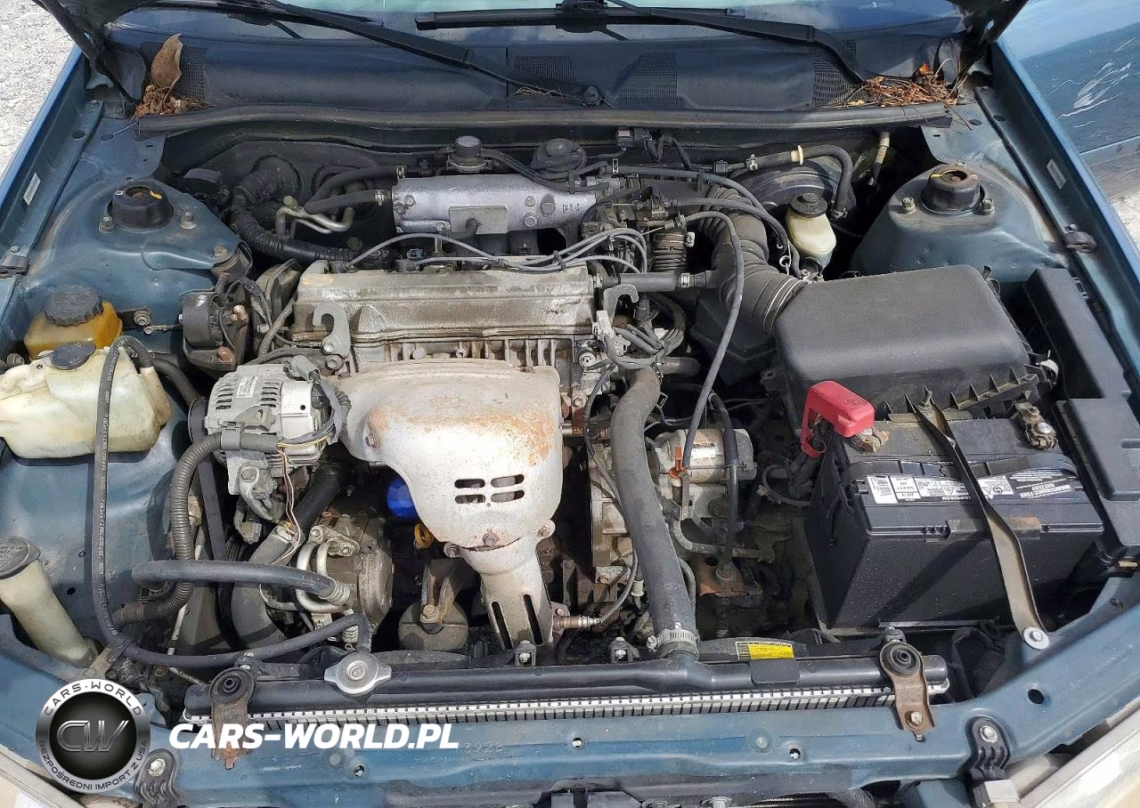 2000 Toyota Camry Ce VIN:4T1BG22K5YU989556 - 11